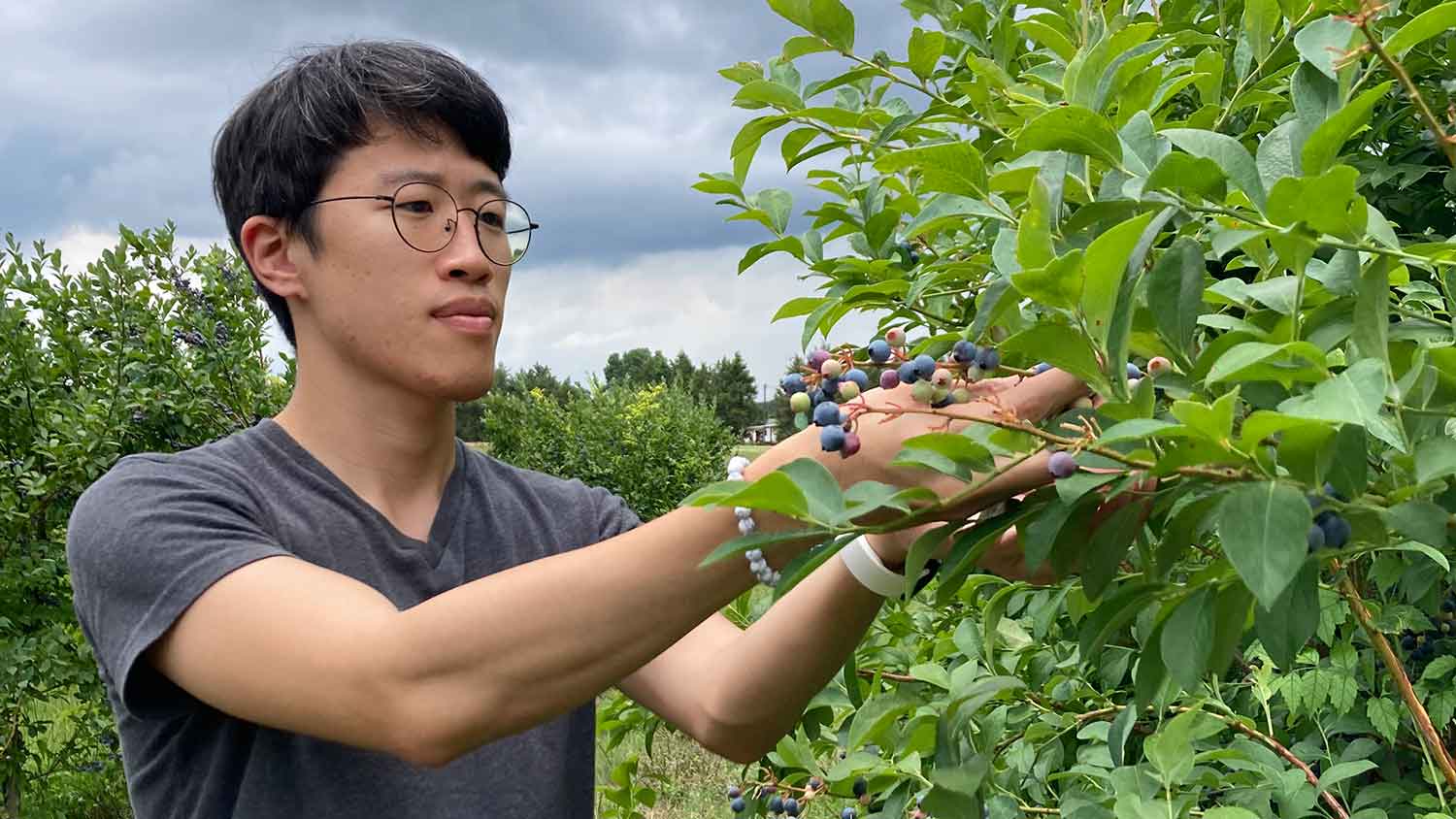 Heeduk Oh with blueberries in field