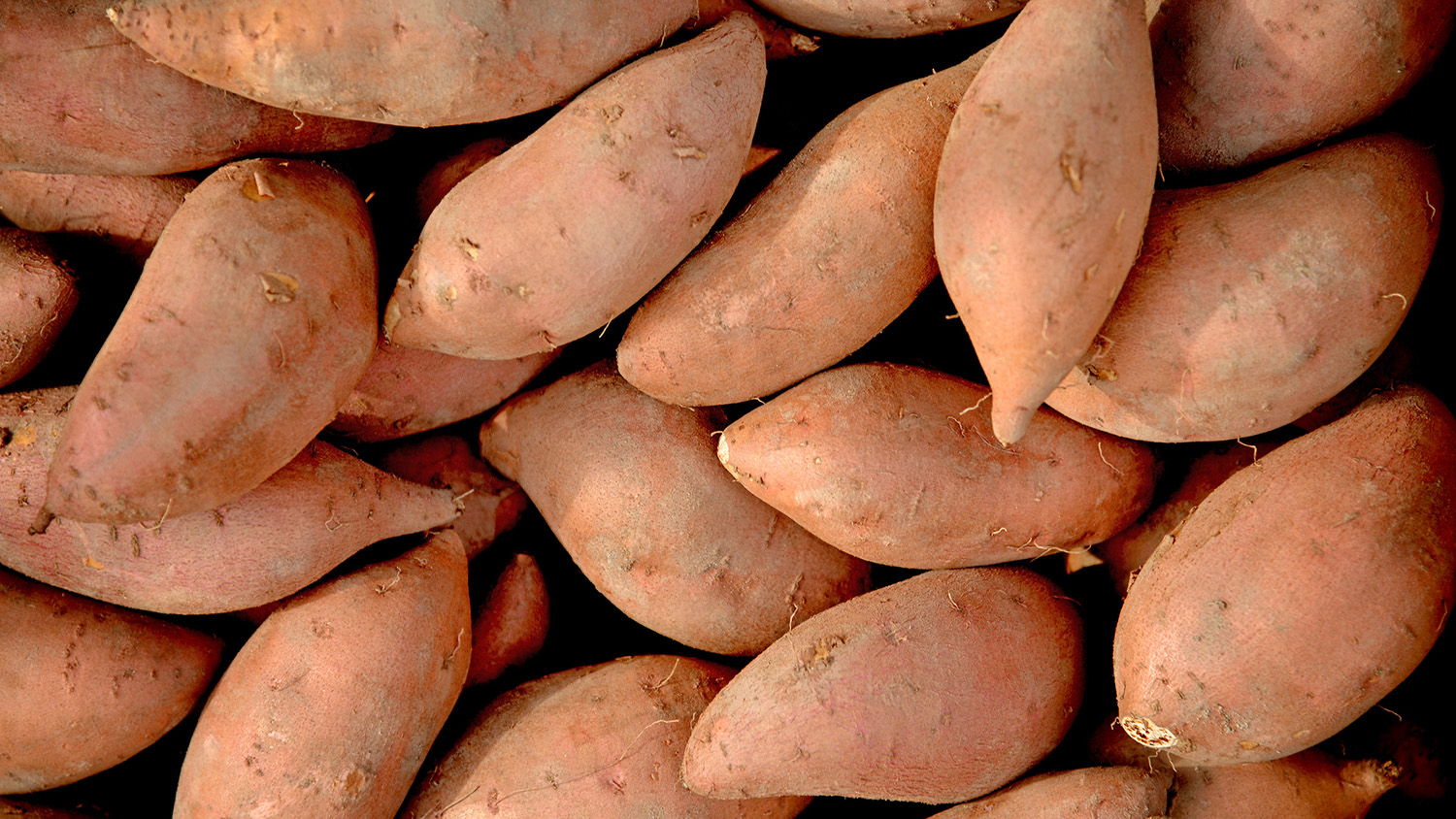 sweet potatoes