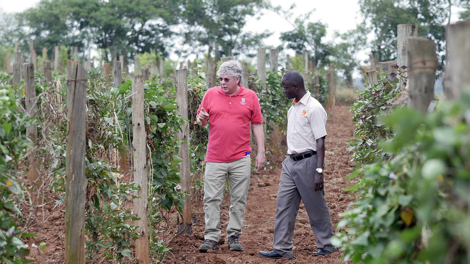 Craig Yencho and Bernard Yada research farm in Uganda