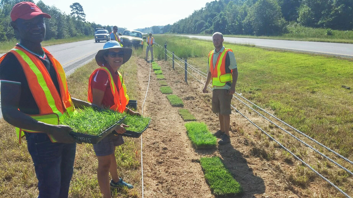 Susanna Milla-Lewis planting turfgrass along roadside