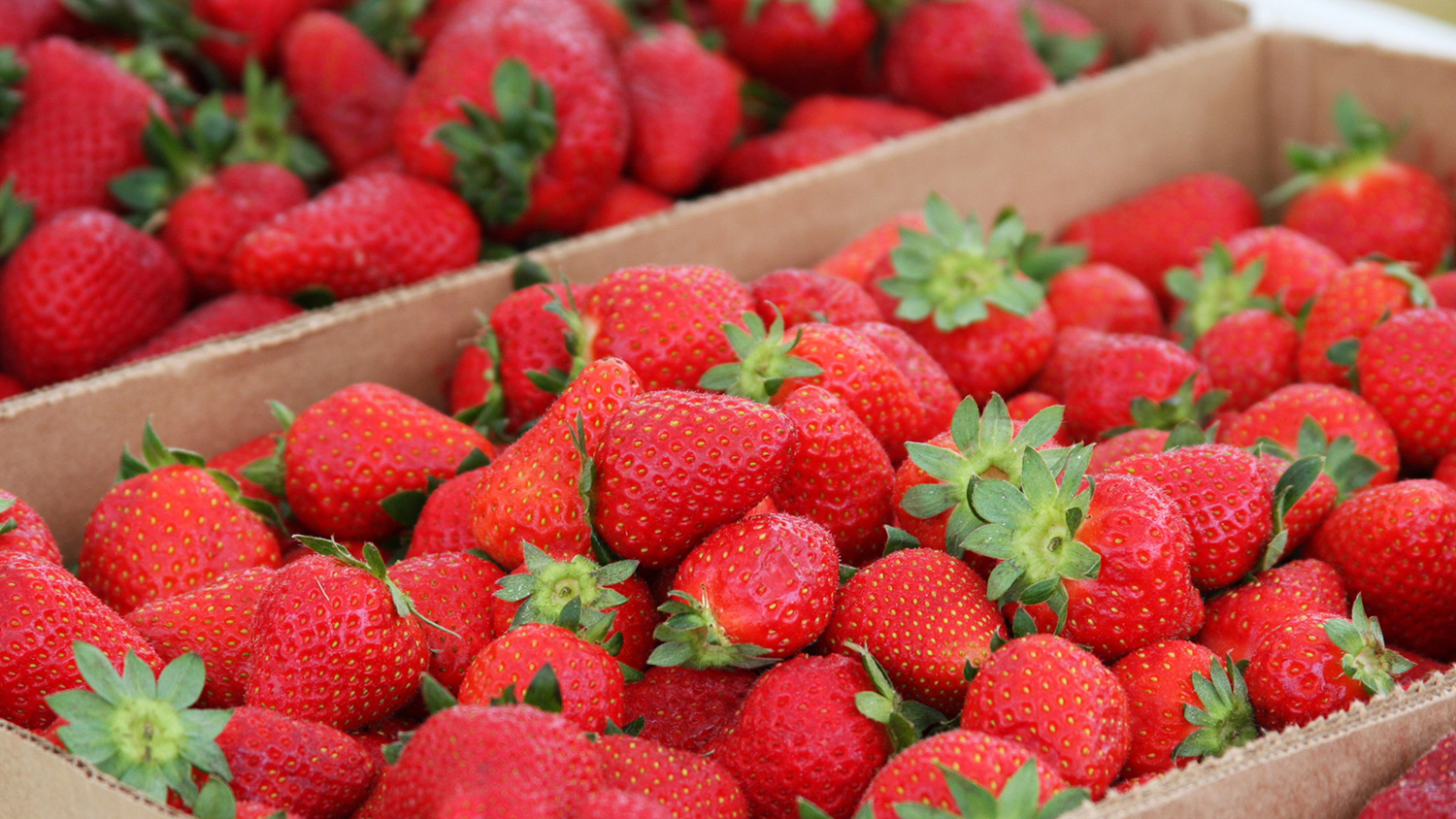 strawberries in crates