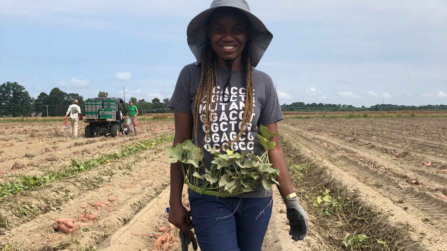 Modesta Abugu in a sweetpotato field