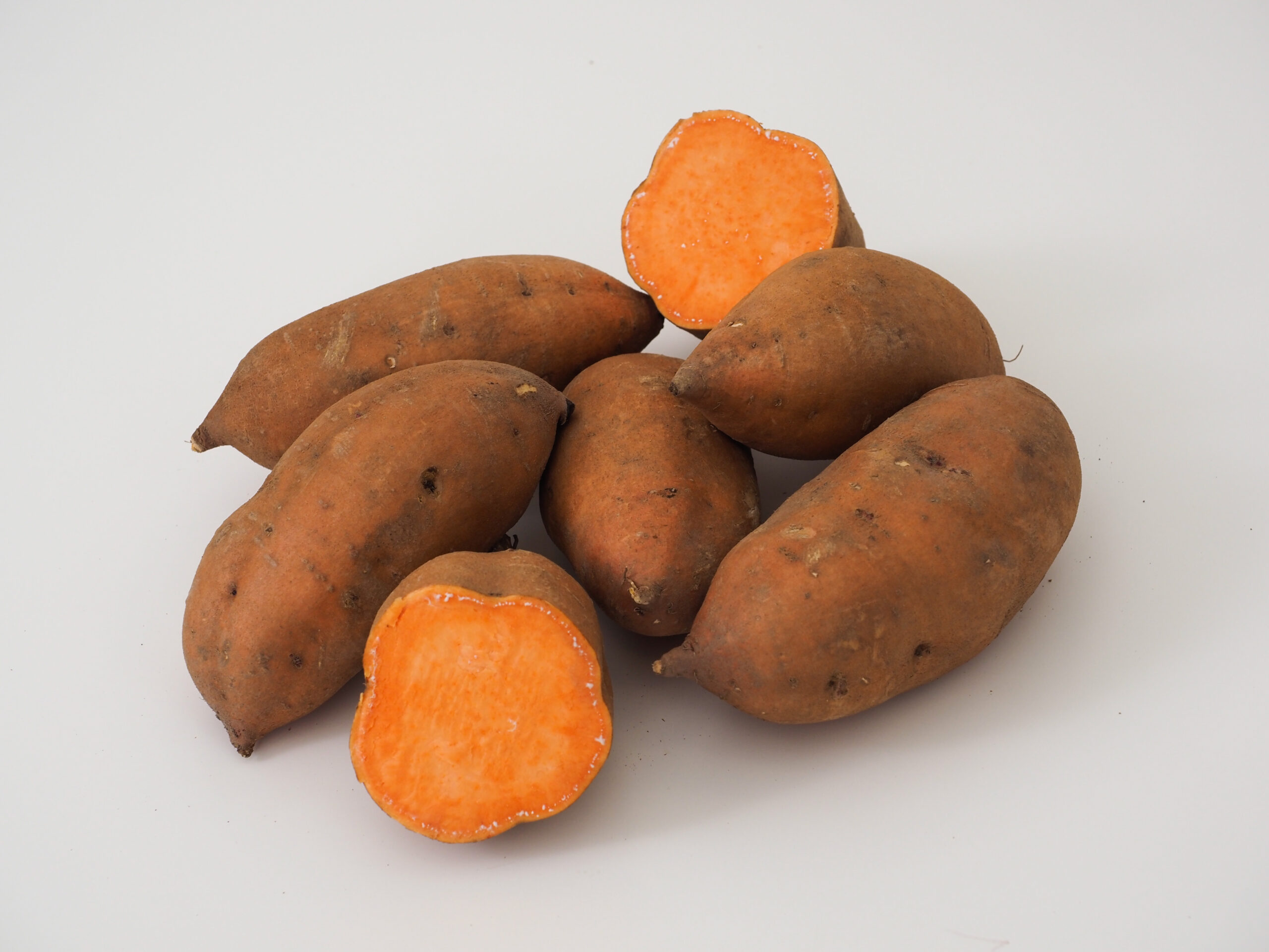 jewell sweetpotato