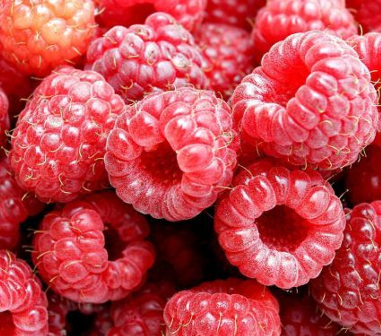 nantahala raspberry