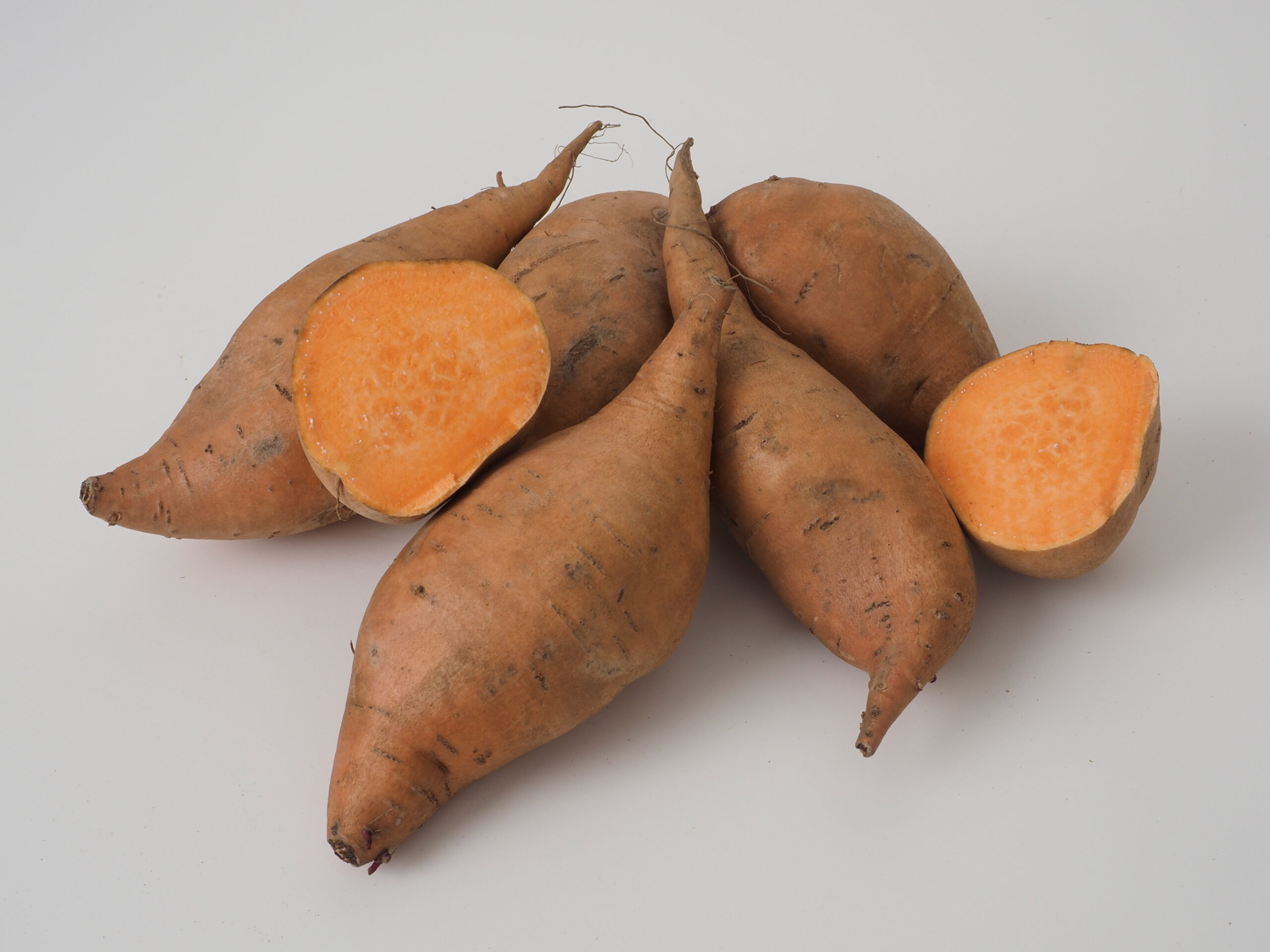 n.c. porto rico sweetpotato