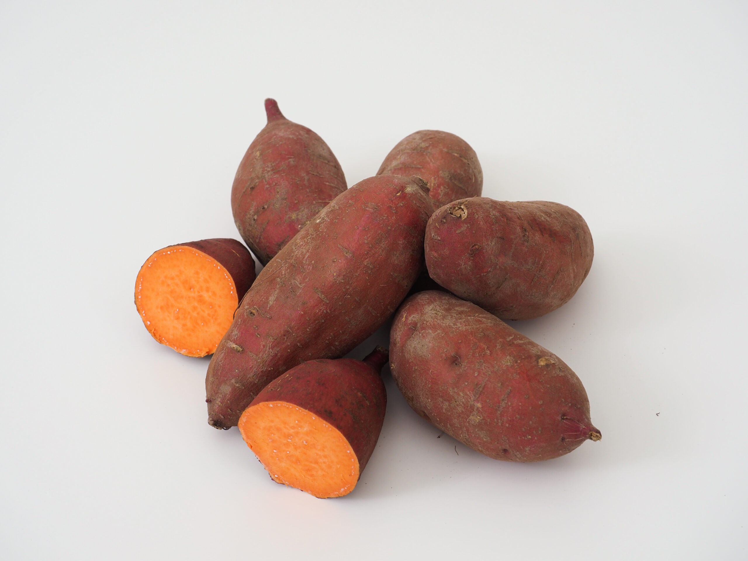 Carolina Ruby sweetpotato