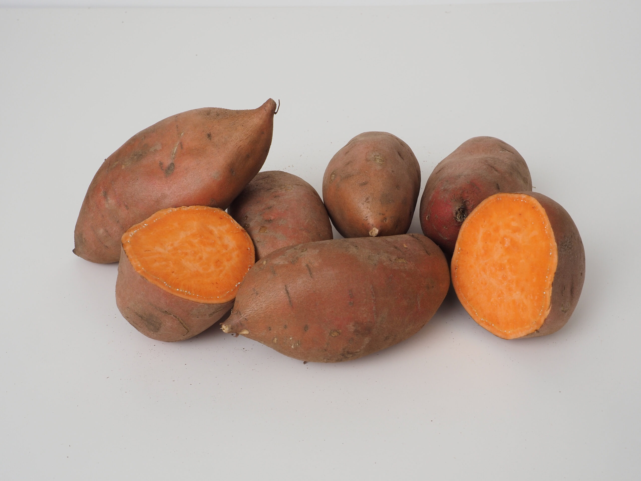 Covington sweetpotato