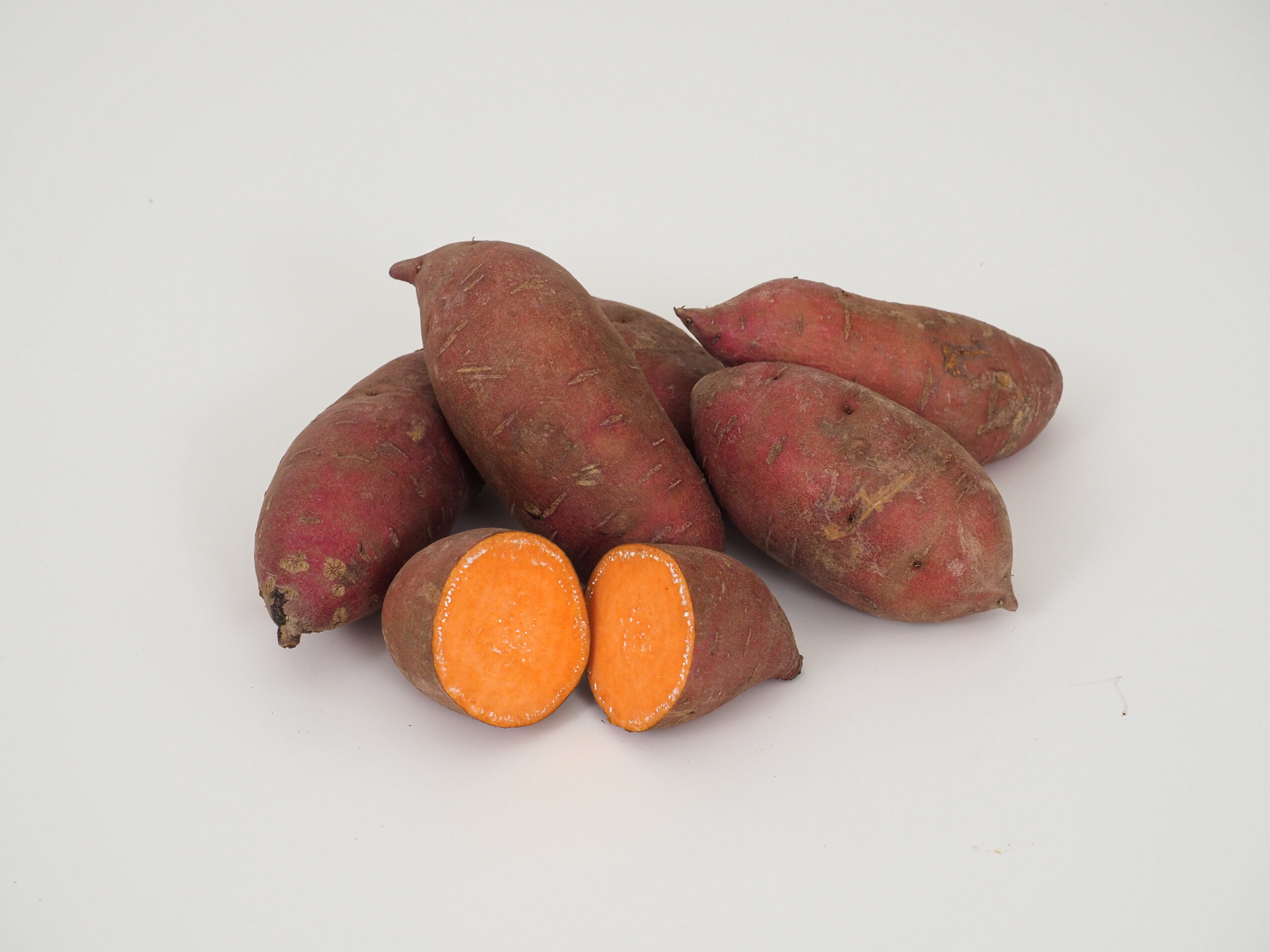 Monaco sweetpotato