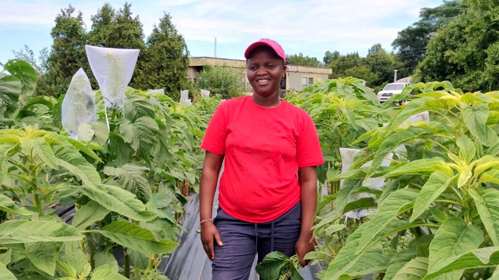 Gladys Wanja Njeri with African Indigenous Vegetables